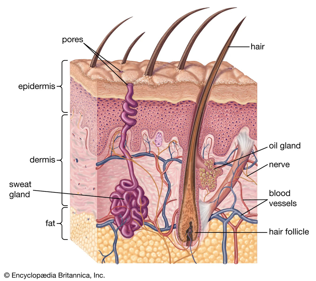 Be careful what you put on your skin! – Simon Sudz